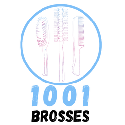 logo 1001 brosses